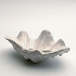 Muschel, keramik