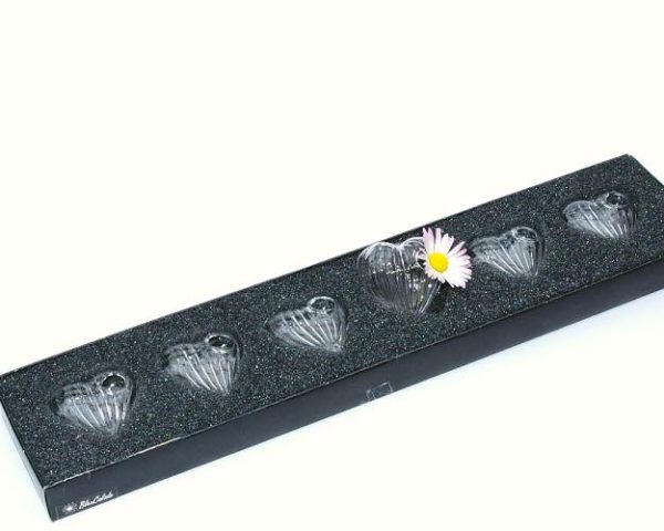 Pack Glasshearts for little flowers (Coffret Coeurs Soliflor)