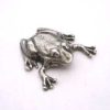 Pewter Frog
