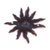 Magnet Sonne