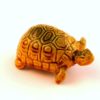 Hermann Turtle