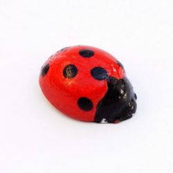 Magnet ladybug
