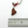 Pendentif ambre sur argent