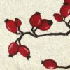 textile