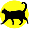 Black cat in fron of yellow disc